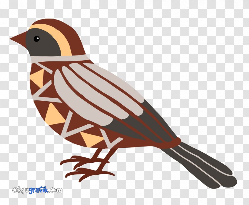 Bird Geometry Pattern - Slatytailed Trogon - Birds Transparent PNG