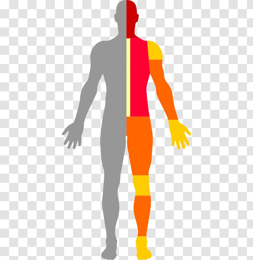 Cancer Man Anatomy Illustration Clip Art - Health - Back Cartoon Pain Transparent PNG