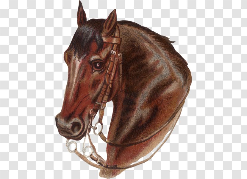 Horse Prairie: The Legend Of Charles Burton Irwin.. Irwin And Y6 Ranch Cross Stitch Patterns Cross-stitch - Harness Transparent PNG