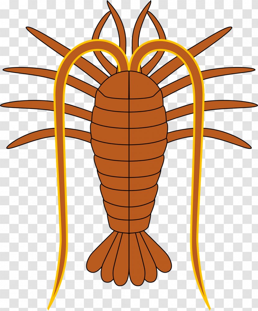 Grand Turk Island Turks Islands British Overseas Territories Flag Of The And Caicos - Tree - Lobster Transparent PNG