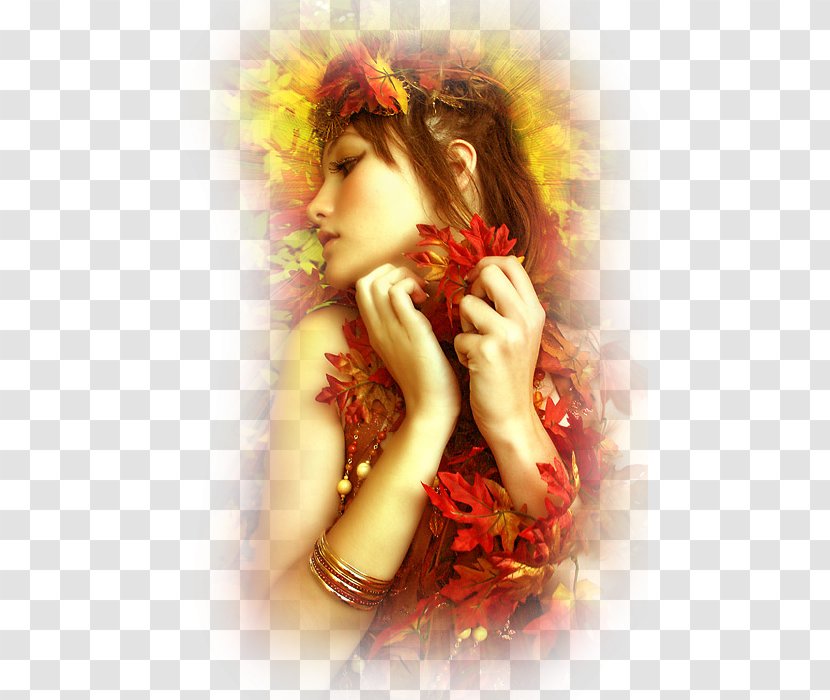 Blog Email Autumn Photography - Heart - Tree Transparent PNG