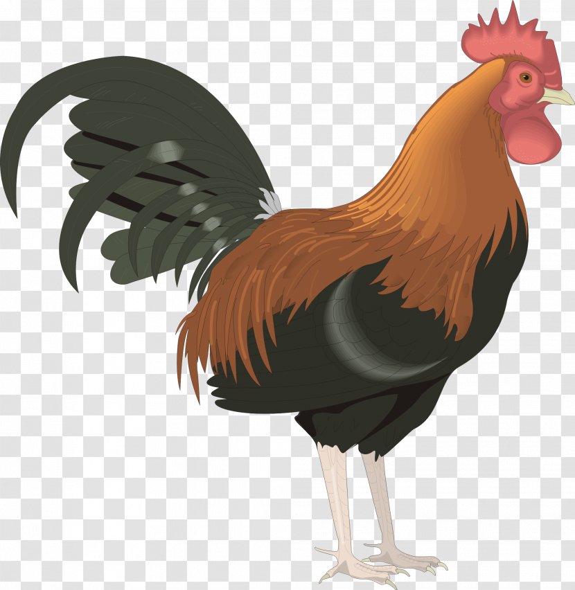 Leghorn Chicken Foghorn Rooster Clip Art Transparent PNG