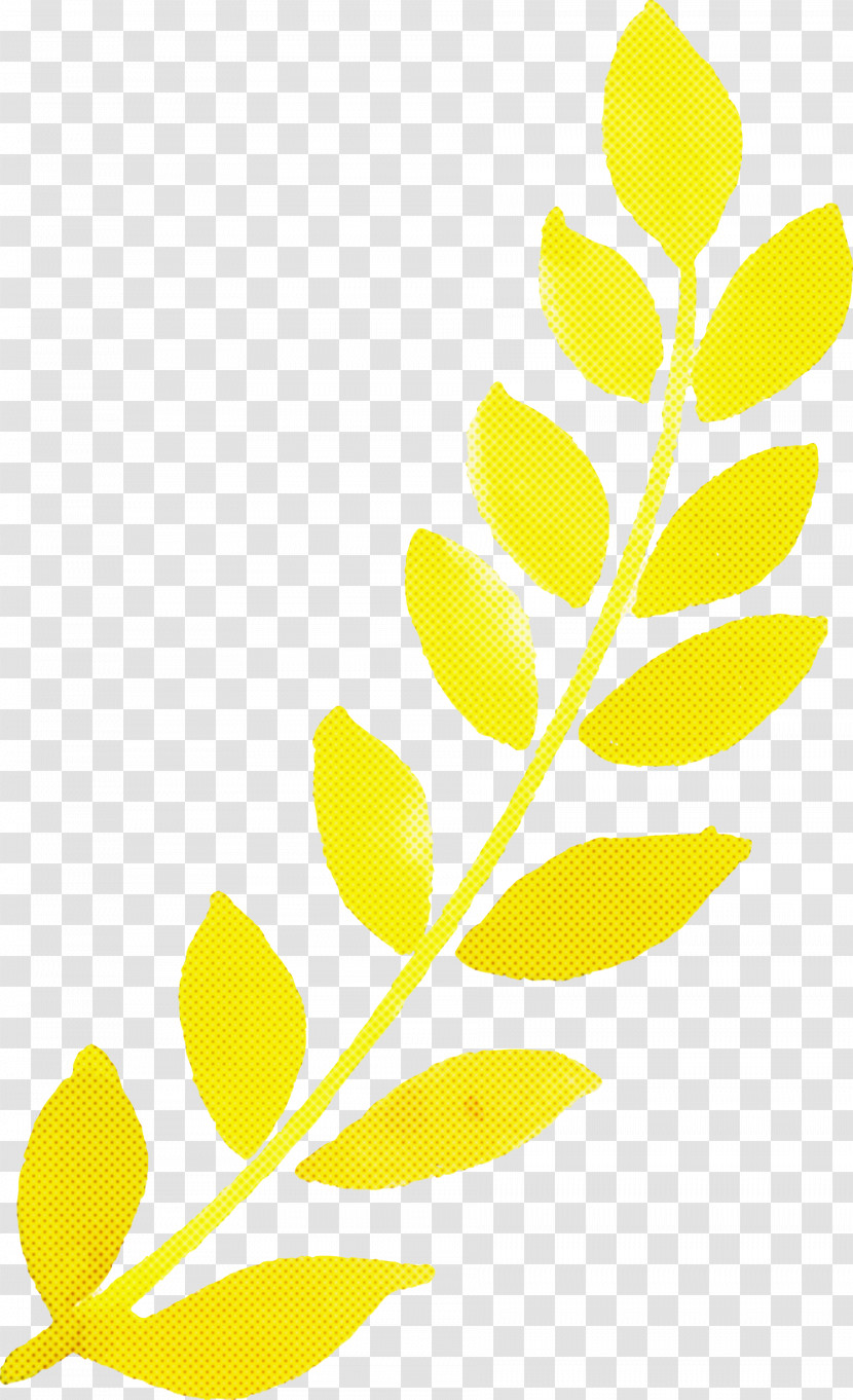 Leaf Plant Stem Twig Petal Yellow Transparent PNG