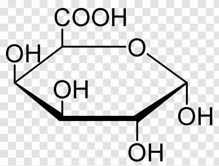 D-Galacturonic Acid Haworth Projection Glucuronic Gluconic - Talose - Glucose Transparent PNG