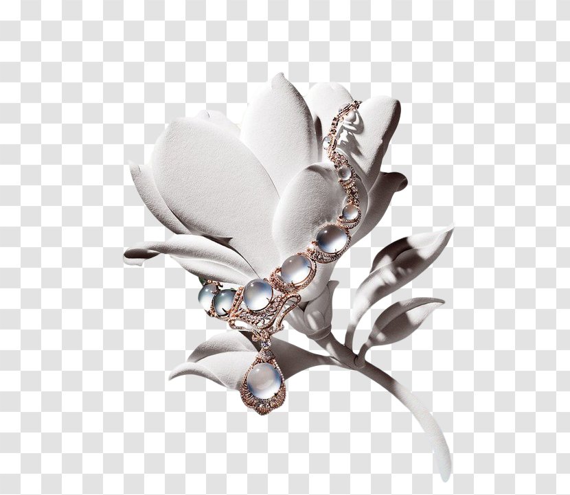 Jewellery Brand Designer Luxury Creativity - Silver - Jewelry Pictures Transparent PNG