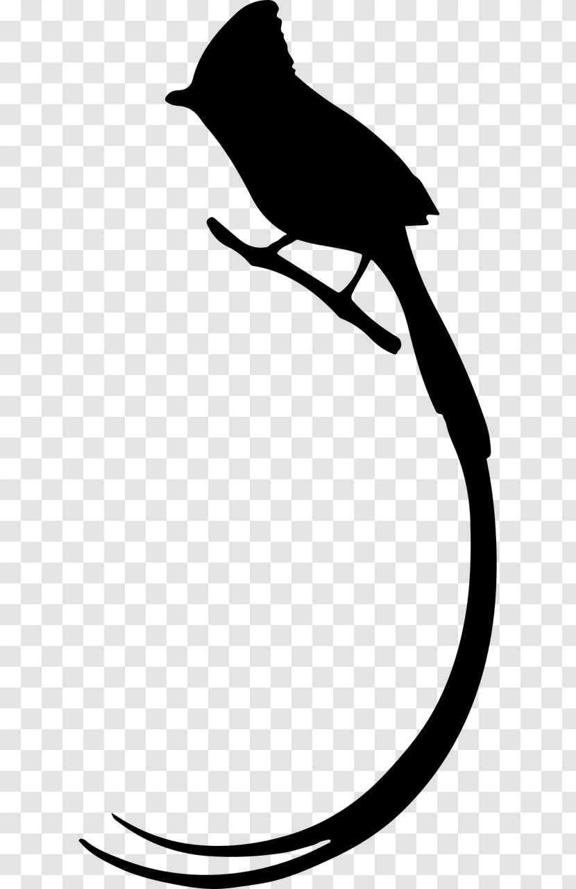 Bird Penguin Silhouette Tail Clip Art Transparent PNG