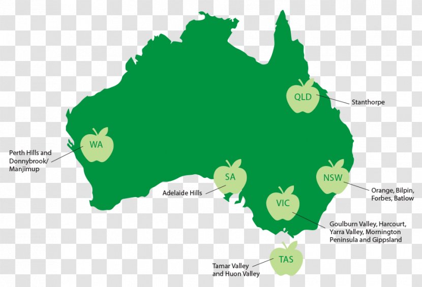 Australian Consumer Law The Tapping Solution Competition - Apple Royal Gala Transparent PNG