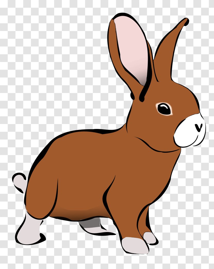 Rabbit Easter Bunny Clip Art - Animal Figure - ANIMAL CARTOON Transparent PNG