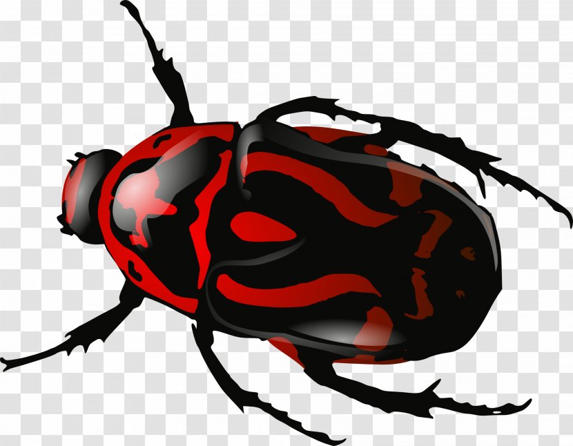 Beetle Download Clip Art - Insect - Insects Transparent PNG