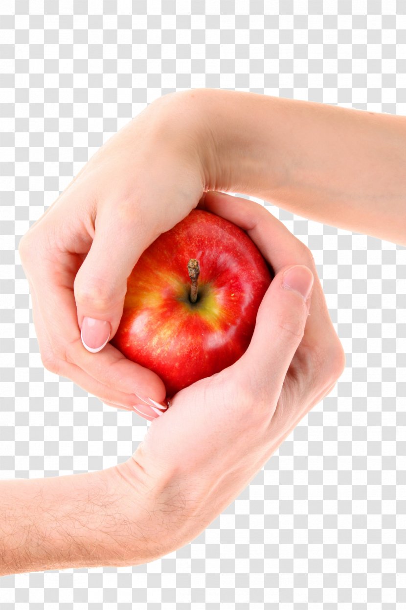 Holding Hands Stock.xchng Apple Image File Formats - Display Resolution - Contention Red Transparent PNG