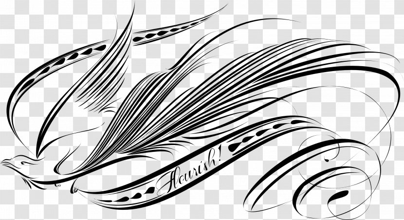 Bird Drawing Calligraphy - Monochrome Photography - Flourish Transparent PNG