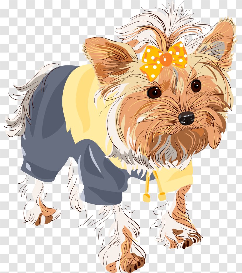 Yorkshire Terrier Shih Tzu Puppy Dog Breed - Vector Cute Transparent PNG