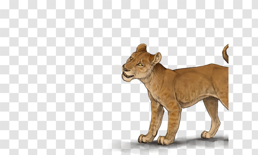 Big Cat Terrestrial Animal Puma Wildlife Transparent PNG
