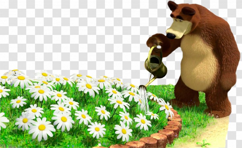 Masha Bear Flower Animation Clip Art - Mammal Transparent PNG