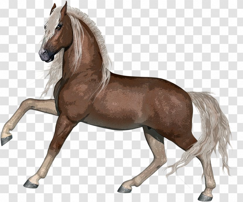 Horse Animal Figure Mane Stallion Mare - Liver - Mustang Transparent PNG