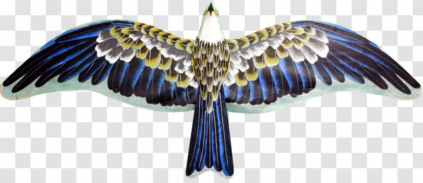 Flight Eagle Hawk - Kite - Material Transparent PNG