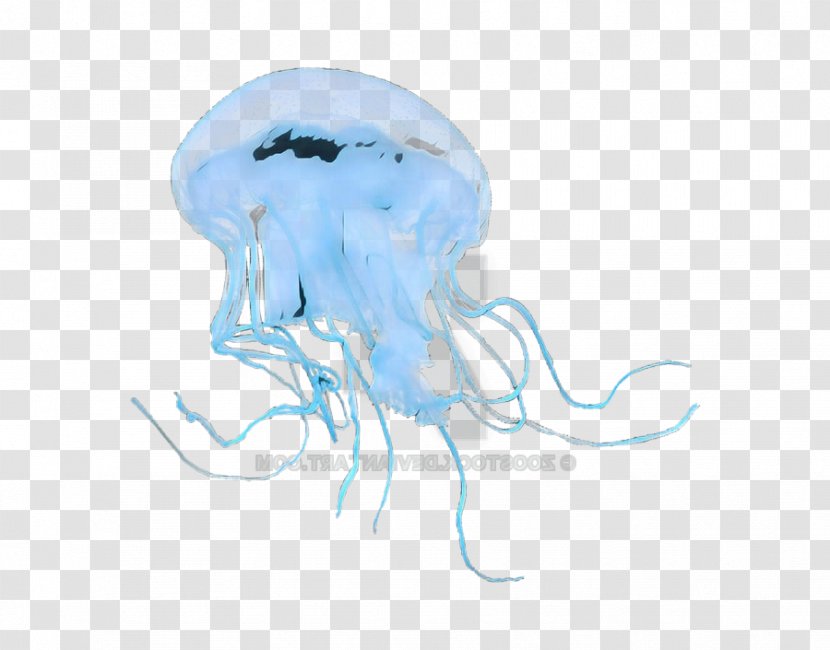 Marine Invertebrates Jellyfish Cnidaria Drawing Sketch - Smoke Transparent PNG