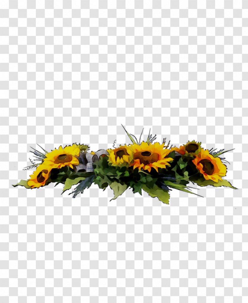 Common Sunflower Floral Design Cut Flowers Transvaal Daisy - Family Transparent PNG