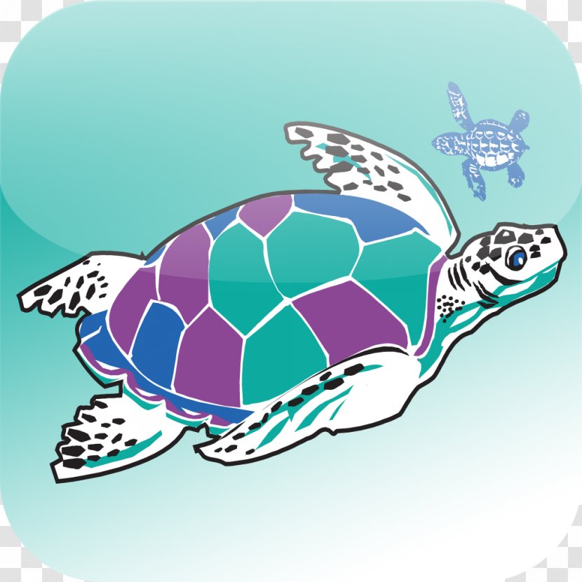 Loggerhead Sea Turtle Getaways Turtle, Inc. - Everglades Transparent PNG