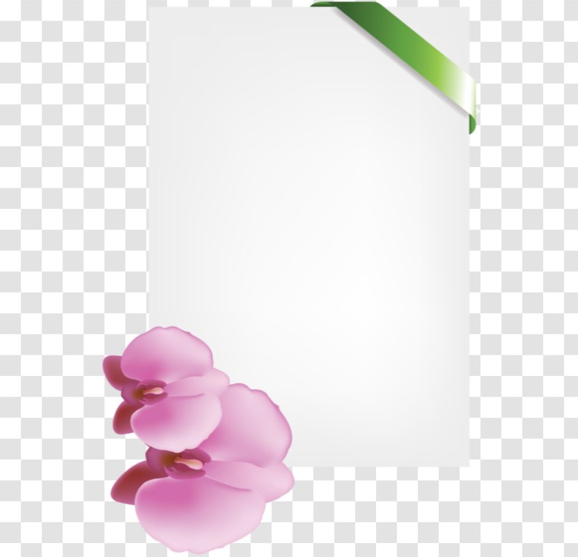Petal Desktop Wallpaper Rose Family - Design Transparent PNG