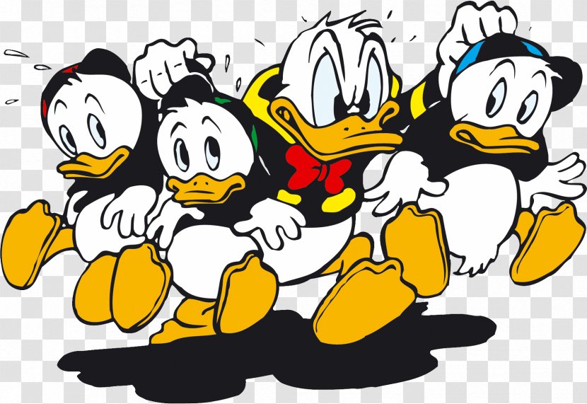 Huey, Dewey And Louie Donald Duck Daisy Scrooge McDuck Mickey Mouse - Ducks Geese Swans Transparent PNG