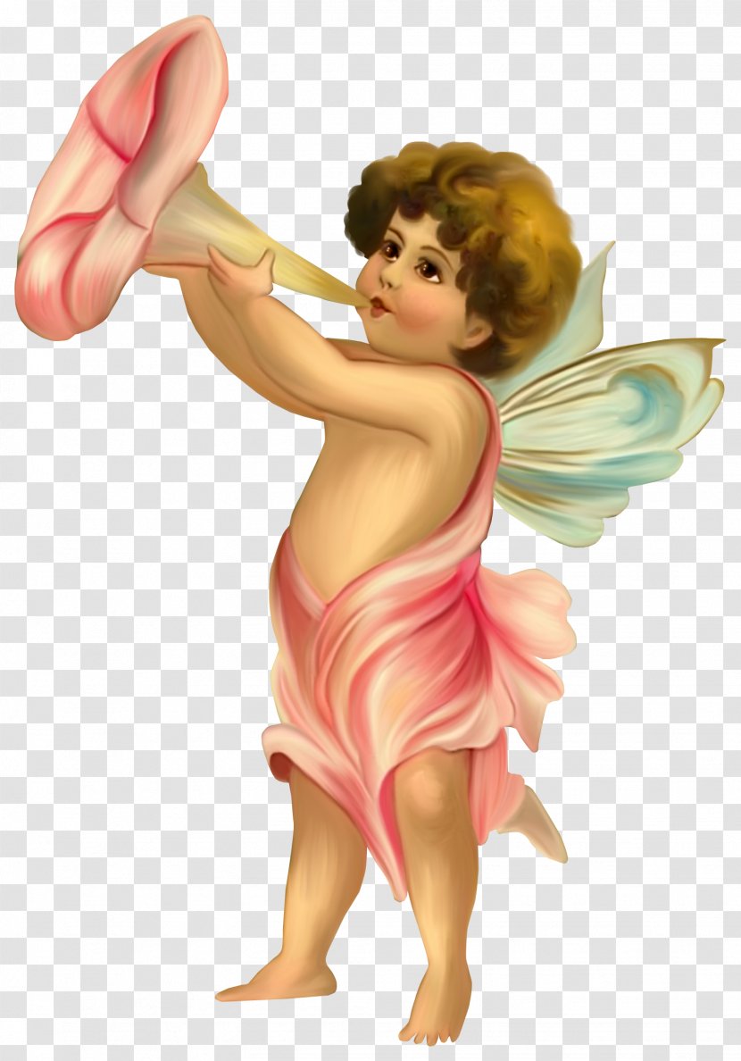 Putto Fairy Angel - Flower Transparent PNG