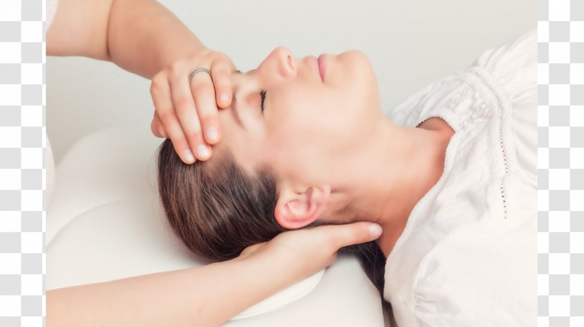 Craniosacral Therapy Massage Skull Bodywork Transparent PNG