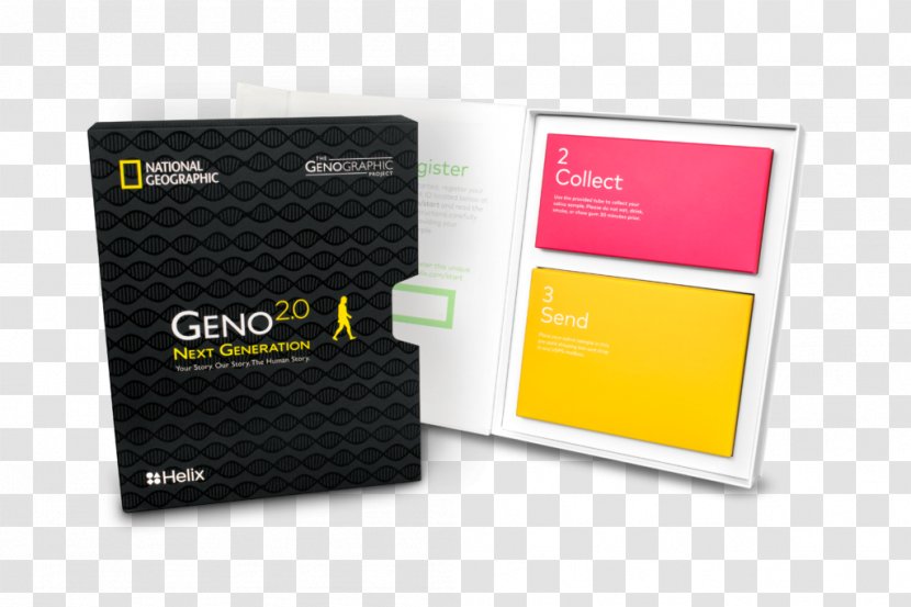 Genographic Project Genealogical DNA Test National Geographic Society Genetic Testing - Dna Transparent PNG