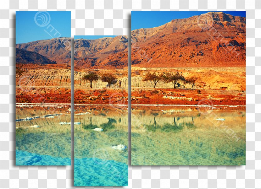Dead Sea Ein Bokek Masada Eilat Tour Guide - Stock Photography - Kartini Transparent PNG