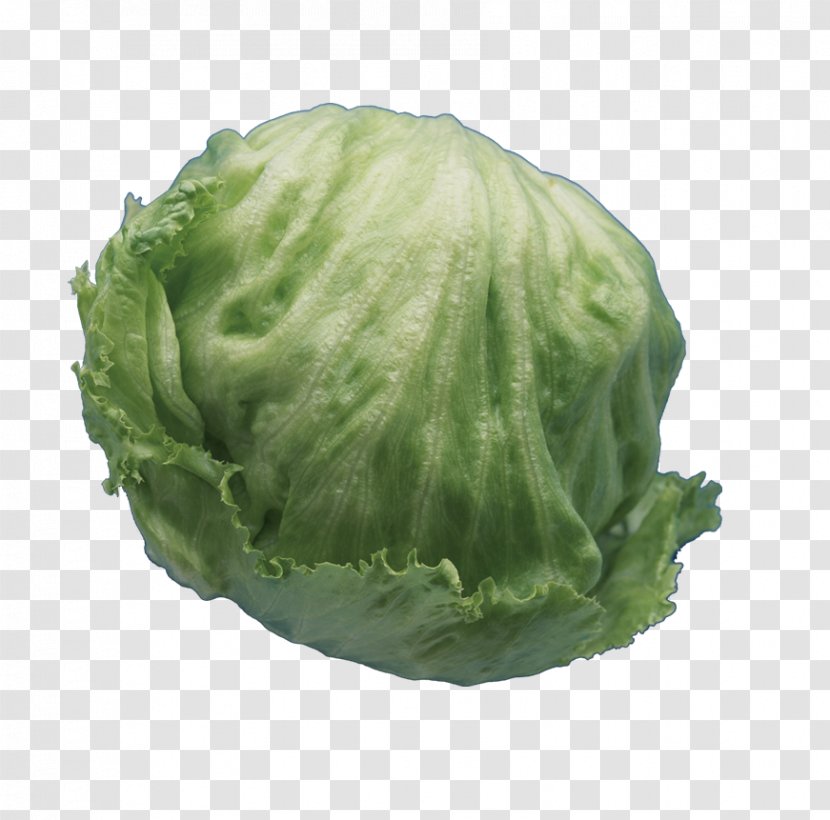 Chinese Cuisine Celtuce Vegetable - Leaf - Cabbage Transparent PNG
