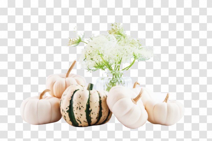 Food Dairy Plant Cheese Transparent PNG