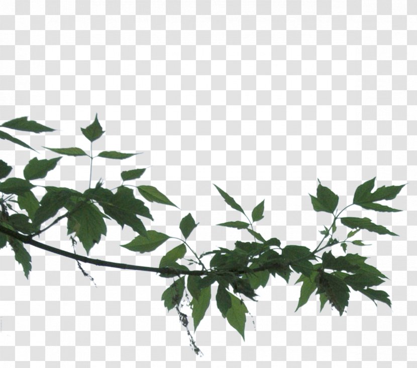 Dear Mel Flower Comentario Plant Stem Twig - Cartoon - Lakeside Transparent PNG