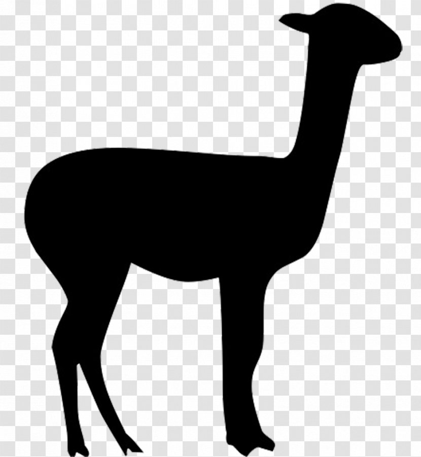 Llama Alpaca Vicuña Clip Art - Silhouette Transparent PNG