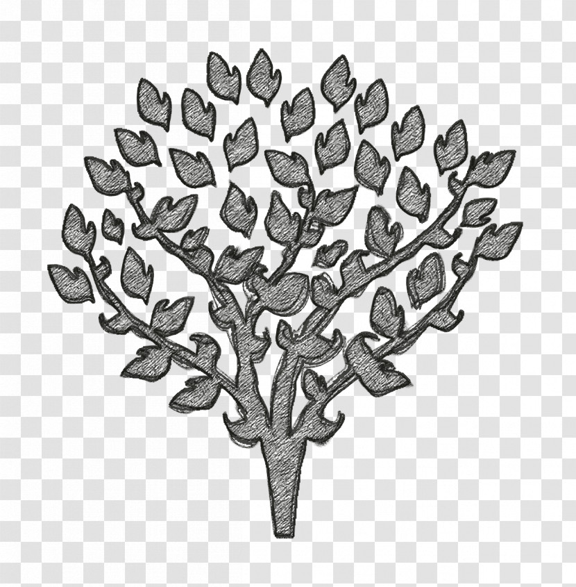 Tree With Thin Branches Covered By Leaves Icon Tree Icon Nature Icon Transparent PNG