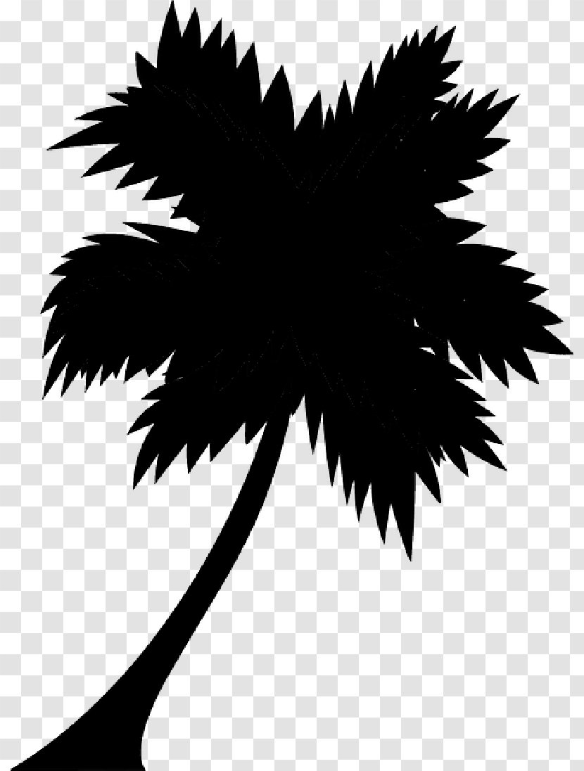 Palm Trees Illustration Graphics Art Silhouette - Feather - Leaf Transparent PNG