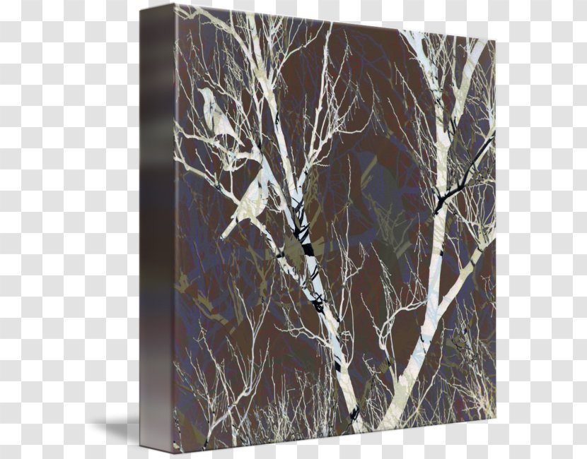 Birch Gallery Wrap /m/083vt Canvas Wood - Bird - White Transparent PNG