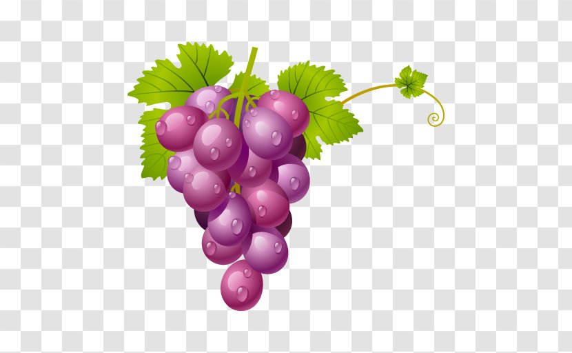 Grape Clip Art - Flowering Plant Transparent PNG