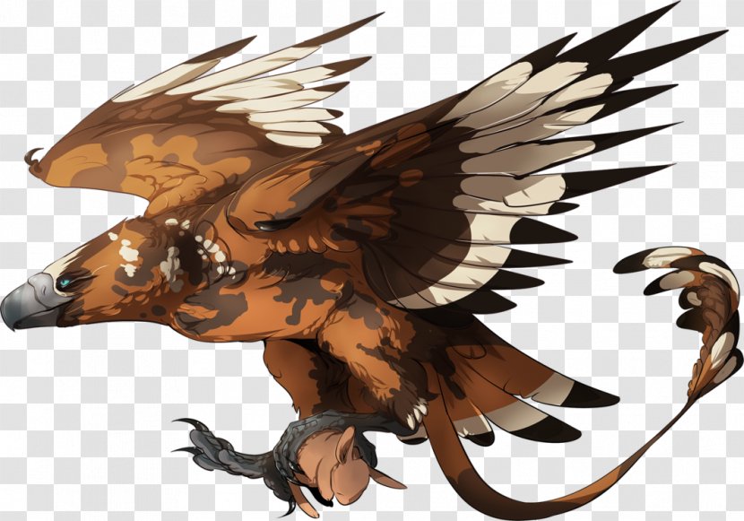 Eagle Hawk Feather Cartoon - Legendary Creature Transparent PNG