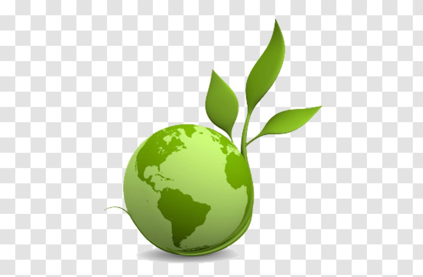 Green Leaf Logo - Natural Environment - Interior Design Flower Transparent PNG