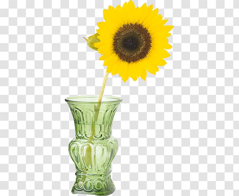Common Sunflower Vase Seed Bakery Transparent PNG