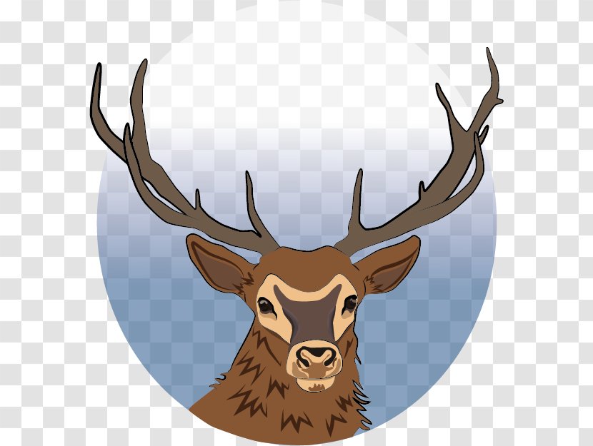 Reindeer Elk Antler Trophy Hunting - Deer Vector Transparent PNG