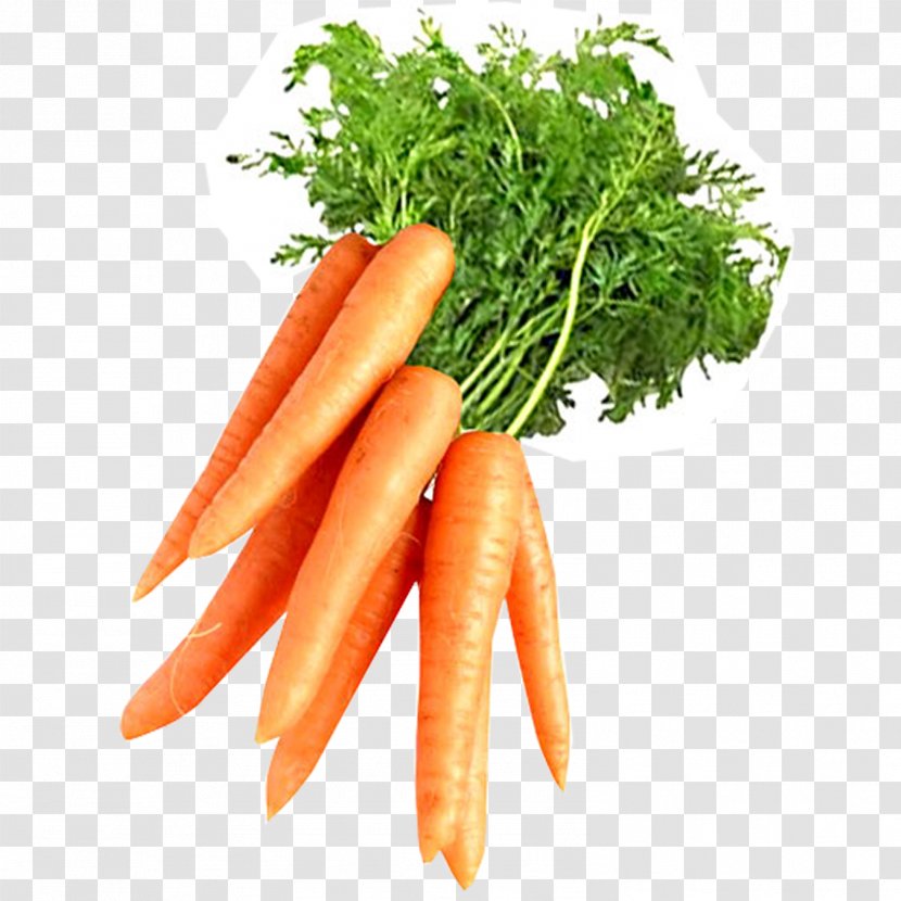 Juice Carrot Root Vegetables Carotene - Mirepoix Transparent PNG