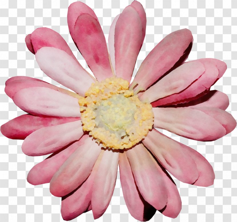 Watercolor Pink Flowers - Flower - Water Lily Wildflower Transparent PNG