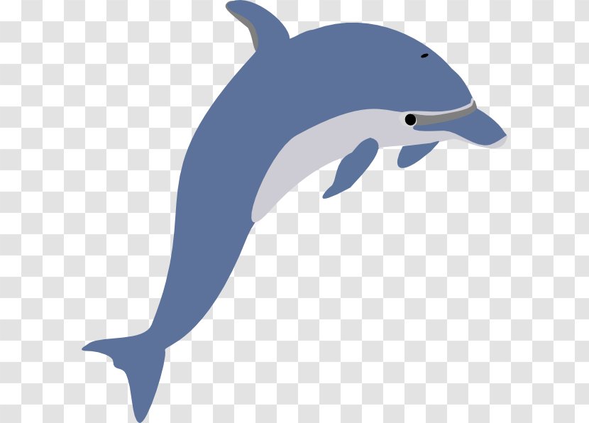 Short-beaked Common Dolphin Bottlenose Clip Art - Organism - Cartoon Transparent PNG