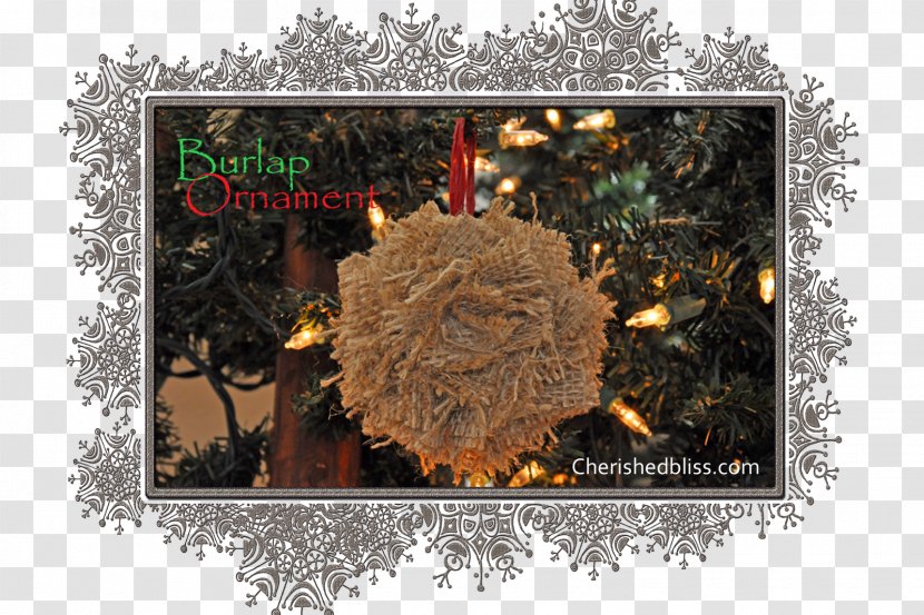 Christmas Tree Ornament Spruce Fir Boss's Day Transparent PNG
