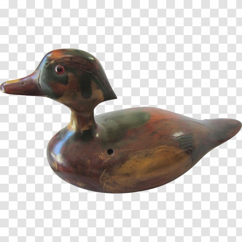 Mallard Duck Beak - Waterfowl Transparent PNG