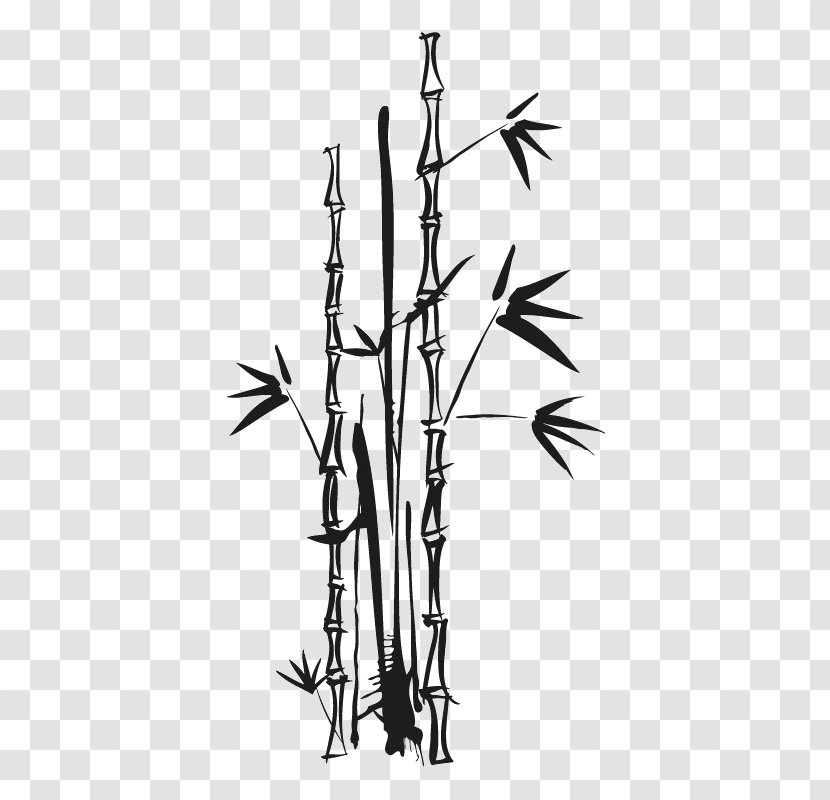 Vector Graphics Euclidean Bamboo Image - Branch Transparent PNG