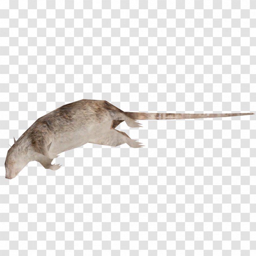 Brown Rat Mouse Laboratory Rodent Transparent PNG