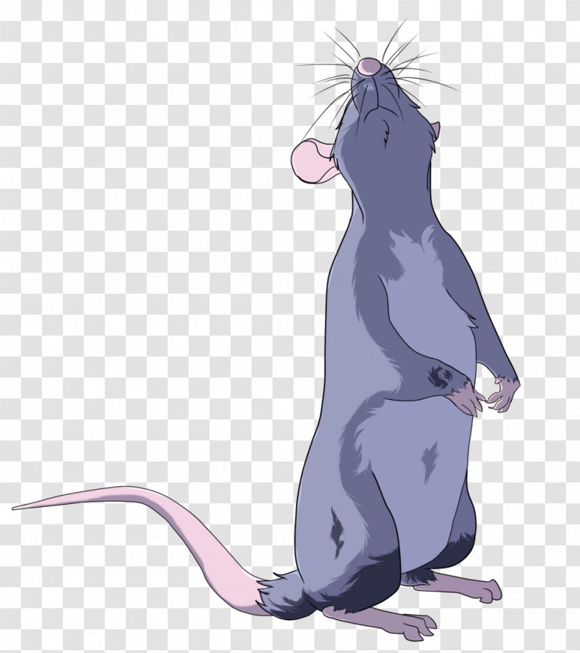 Rat Drawing Cat Line Art Sketch - Muroidea - & Mouse Transparent PNG
