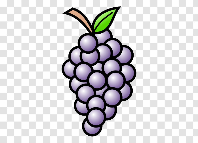 Grapevines Drawing Must - Grape Transparent PNG